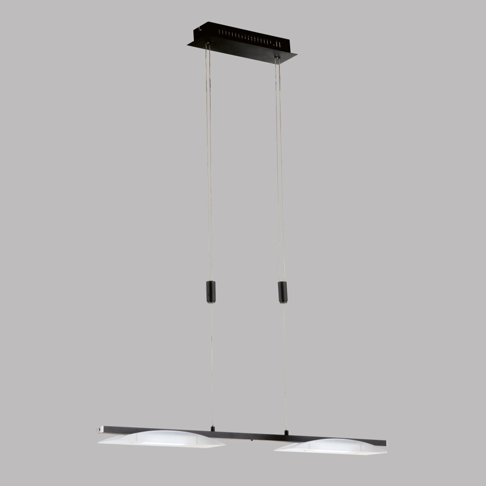 Fischer & Honsel Kop Lámpara Colgante LED Negro, 2 luces main product photo