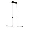 Fischer & Honsel Kop Lámpara Colgante LED Negro, 2 luces
