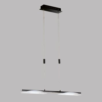 Fischer & Honsel Kop Lámpara Colgante LED Negro, 2 luces