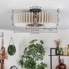 Konbongou Lámpara de Techo Negro, 1 luz