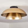 Albo Lámpara de Techo Negro, 1 luz