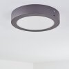 Leto Lámpara de techo para exterior LED Antracita, 1 luz