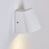 Swisher Aplique para exterior LED Blanca, 1 luz