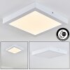 Leto Lámpara de techo para exterior LED Blanca, 1 luz