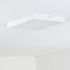 Leto Lámpara de techo para exterior LED Blanca, 1 luz