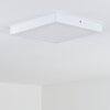 Leto Lámpara de techo para exterior LED Blanca, 1 luz