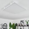 Crum Lámpara de Techo LED Blanca, 1 luz, Mando a distancia