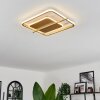 Evolene Lámpara de Techo LED dorado, 1 luz