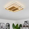 Evolene Lámpara de Techo LED dorado, 1 luz