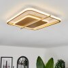 Evolene Lámpara de Techo LED dorado, 1 luz