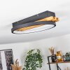 Rodekro Lámpara de Techo LED Crudo, Negro, 1 luz