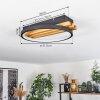 Rodekro Lámpara de Techo LED Crudo, Negro, 1 luz
