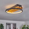 Rodekro Lámpara de Techo LED Crudo, Negro, 1 luz