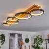 Rodekro Lámpara de Techo LED Negro, Blanca, 1 luz