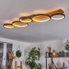 Rodekro Lámpara de Techo LED Negro, Blanca, 1 luz