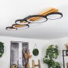 Rodekro Lámpara de Techo LED Negro, Blanca, 1 luz