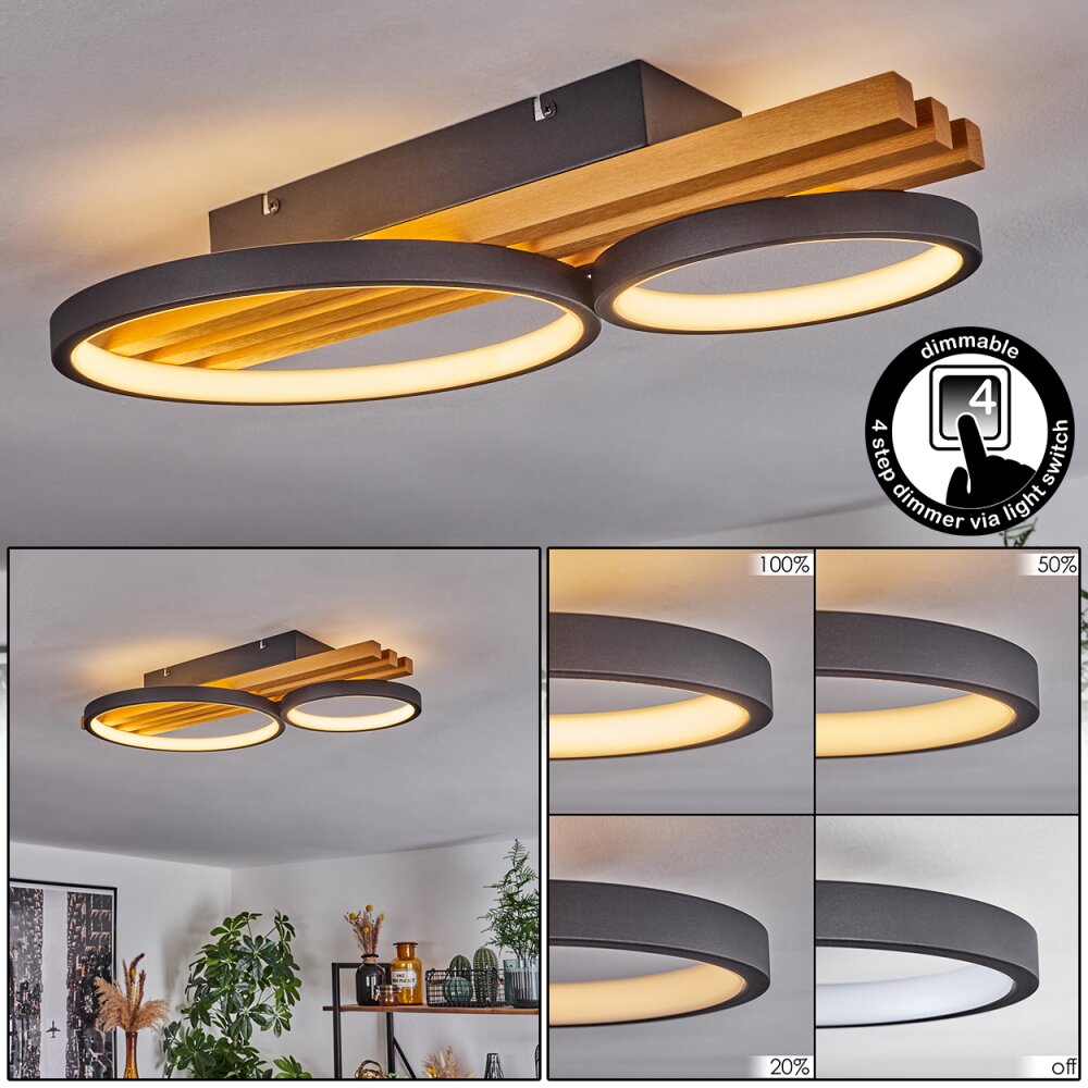 Rodekro Lámpara de Techo LED Crudo, Negro, 1 luz main product photo