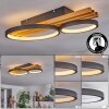 Rodekro Lámpara de Techo LED Crudo, Negro, 1 luz