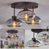 Haikala Lámpara de Techo Transparente, Ahumado, 3 luces