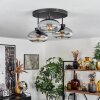 Haikala Lámpara de Techo Transparente, Ahumado, 3 luces