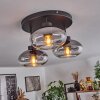 Haikala Lámpara de Techo Transparente, Ahumado, 3 luces