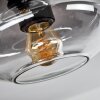 Haikala Lámpara de Techo Transparente, Ahumado, 3 luces