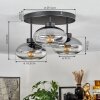 Haikala Lámpara de Techo Transparente, Ahumado, 3 luces