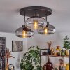 Haikala Lámpara de Techo Transparente, Ahumado, 3 luces
