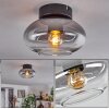 Haikala Lámpara de Techo Transparente, Ahumado, 1 luz