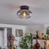 Haikala Lámpara de Techo Transparente, Ahumado, 1 luz