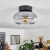 Haikala Lámpara de Techo Transparente, Ahumado, 1 luz