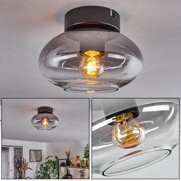 Haikala Lámpara de Techo Transparente, Ahumado, 1 luz