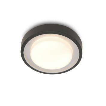 Lutec ORIGO Lámpara de Techo LED Antracita, 1 luz, Cambia de color