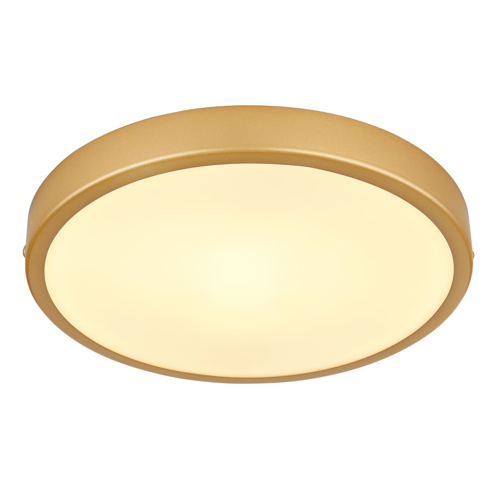 Globo TIBEY Lámpara de Techo LED Latón, 1 luz main product photo