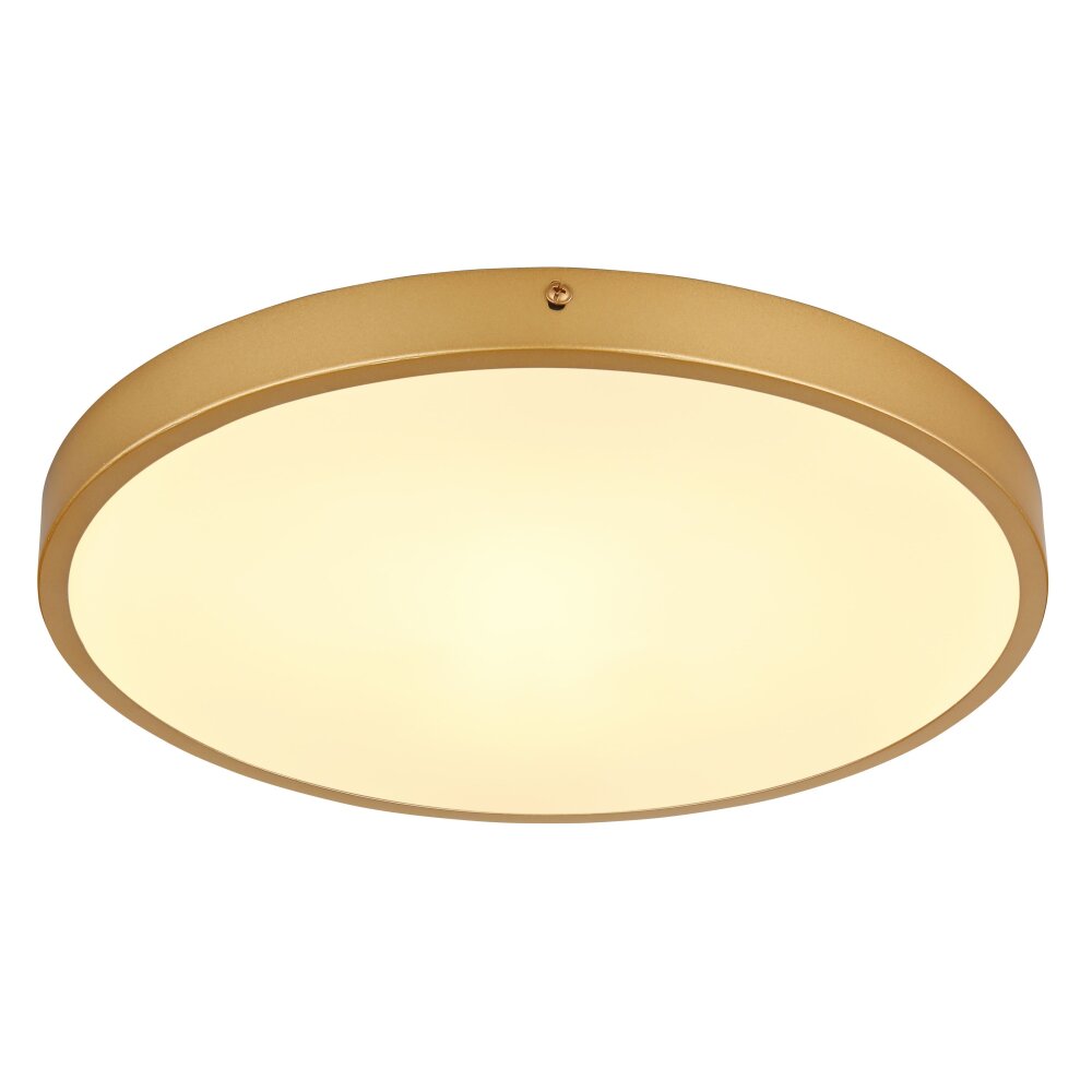 Globo TIBEY Lámpara de Techo LED Latón, 1 luz main product photo