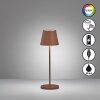 FHL easy Cosenza 2.0 Lámpara de mesa LED Color óxido, 1 luz, Cambia de color