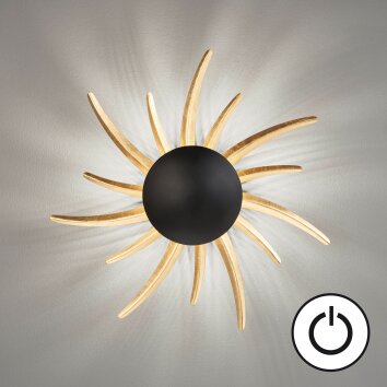 Fischer & Honsel Sol Aplique LED Negro, 1 luz