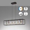 Fischer & Honsel Gian Lámpara Colgante LED Negro, 1 luz, Mando a distancia