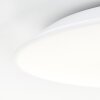 Brilliant Colden Lámpara de Techo LED Blanca, 1 luz