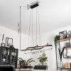 Fuliola Lámpara Colgante LED Negro, 1 luz