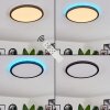 Boyero Lámpara de Techo LED Negro, 2 luces, Mando a distancia, Cambia de color