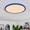 Boyero Lámpara de Techo LED Negro, 2 luces, Mando a distancia, Cambia de color