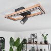 Fairburn Lámpara de Techo LED Marrón, Color madera, Negro, 2 luces