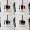 Lauden Lámpara Colgante Cristal 15 cm Cromo, Transparente, Ahumado, 3 luces