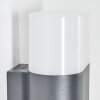 Belerda Aplique para exterior Blanca, 2 luces, Sensor de movimiento