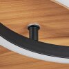 Abonakope Lámpara de Techo LED Color madera, Crudo, Negro, 2 luces, Mando a distancia, Cambia de color
