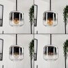 Lauden Lámpara Colgante Cristal 15 cm Cromo, Transparente, Ahumado, 3 luces