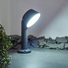 Moroni Poste de Jardín LED Antracita, 1 luz