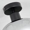 Boudry Lámpara de Techo Negro, 1 luz