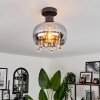 Boudry Lámpara de Techo Negro, 1 luz